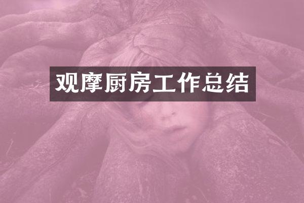 观摩厨房工作总结