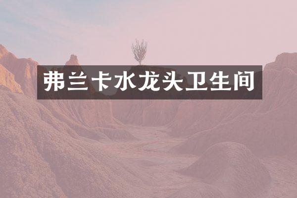 弗兰卡水龙头卫生间