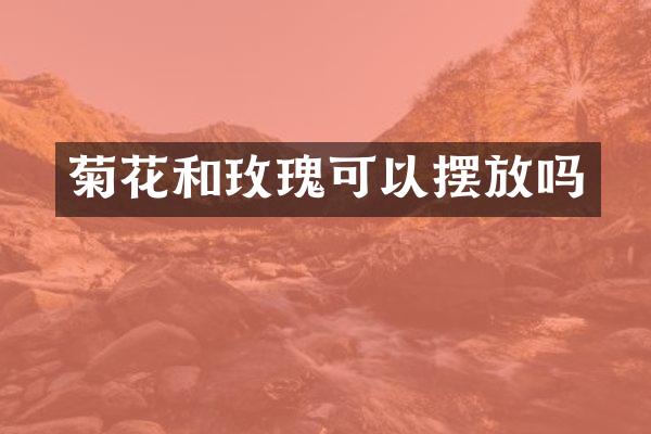 菊花和玫瑰可以摆放吗
