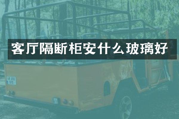 客厅隔断柜安什么玻璃好