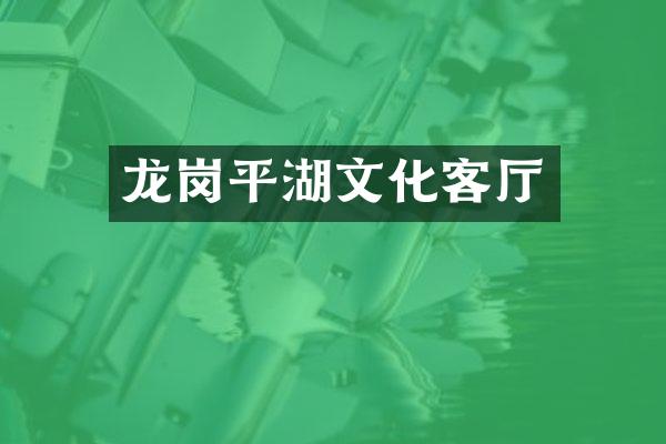 龙岗平湖文化客厅