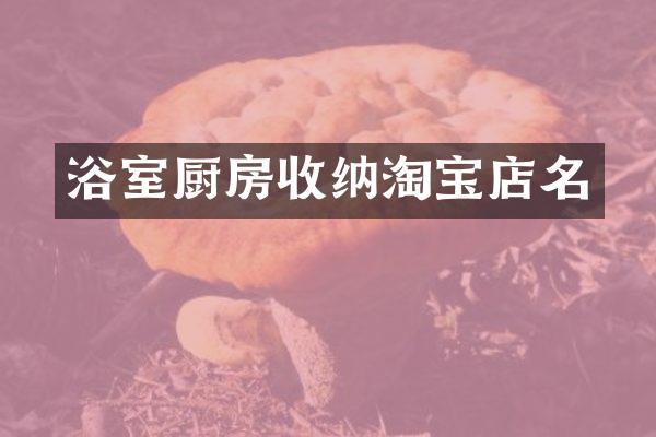 浴室厨房收纳淘宝店名