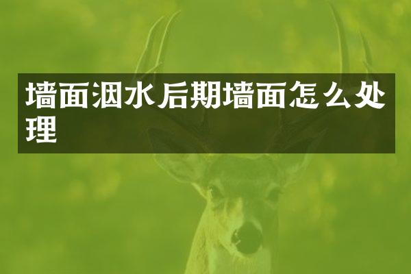 墙面洇水后期墙面怎么处理