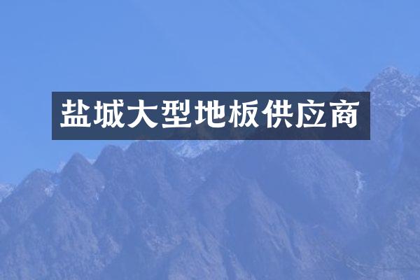 盐城大型地板供应商