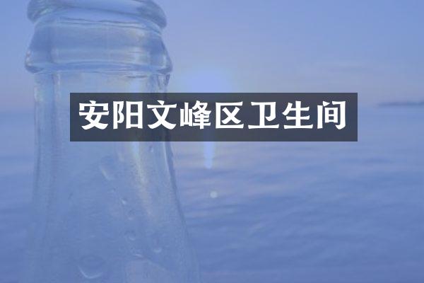 安阳文峰区卫生间