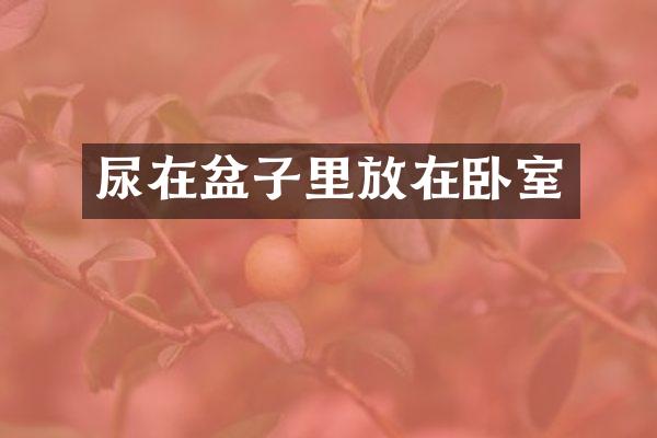尿在盆子里放在卧室
