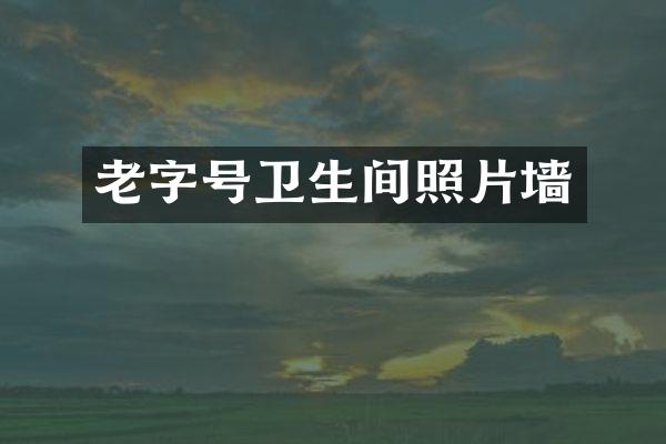 老字号卫生间照片墙