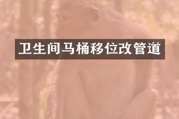 卫生间马桶移位改管道