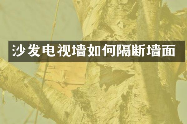 沙发电视墙如何隔断墙面