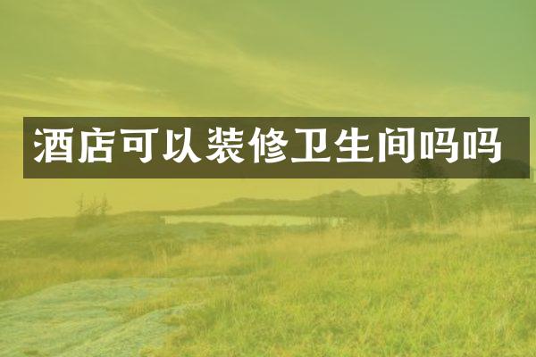 酒店可以装修卫生间吗吗