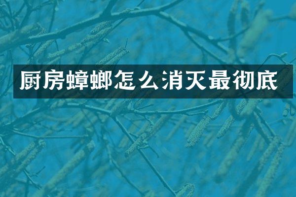 厨房蟑螂怎么消灭最彻底
