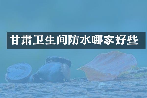甘肃卫生间防水哪家好些