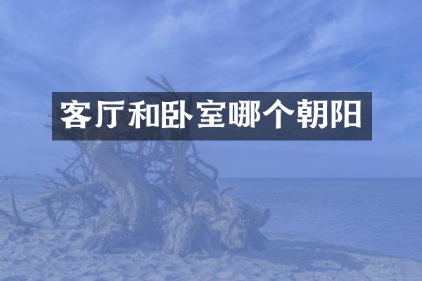 客厅和卧室哪个朝阳