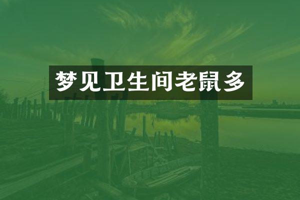 梦见卫生间老鼠多