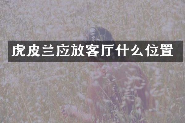 虎皮兰应放客厅什么位置