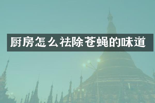 厨房怎么祛除苍蝇的味道
