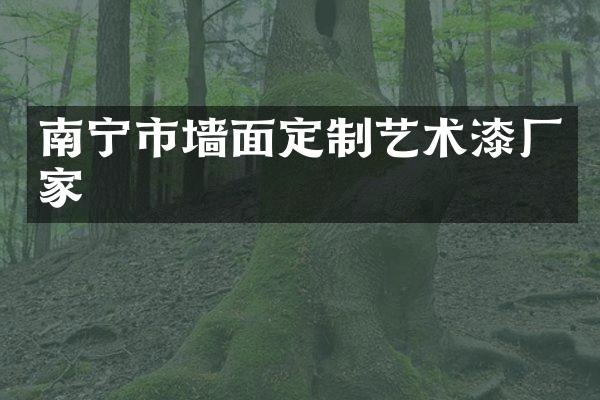 南宁市墙面定制艺术漆厂家