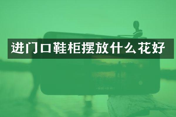 进门口鞋柜摆放什么花好