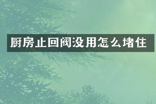 厨房止回阀没用怎么堵住