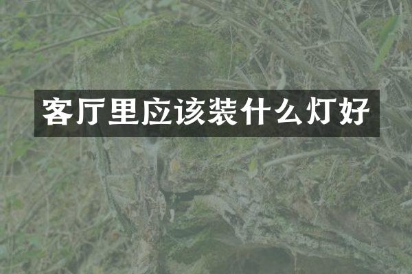 客厅里应该装什么灯好