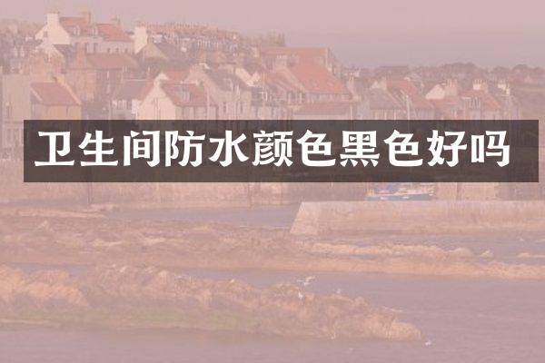 卫生间防水颜色黑色好吗