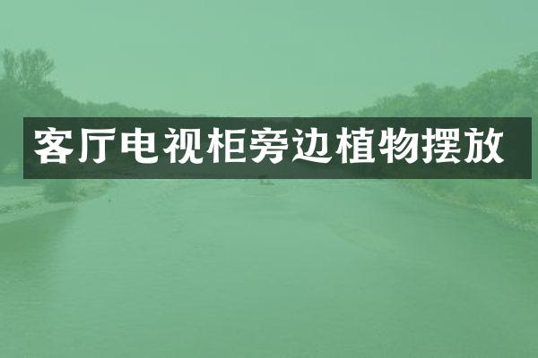 客厅电视柜旁边植物摆放