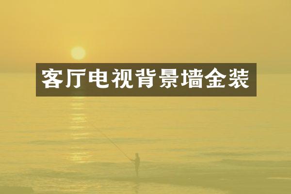 客厅电视背景墙金装