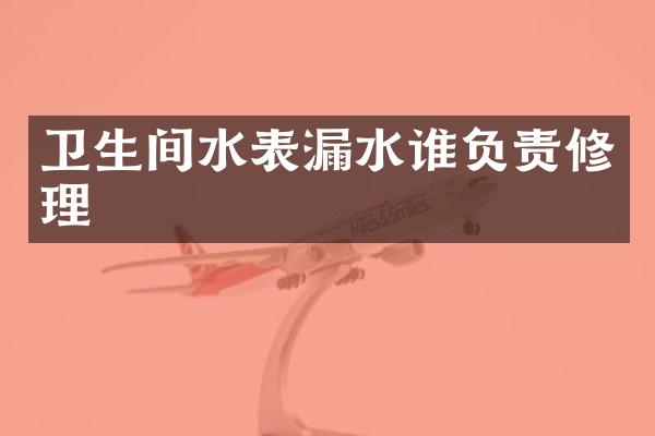 卫生间水表漏水谁负责修理