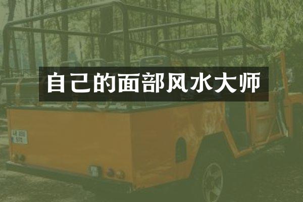 自己的面部风水大师