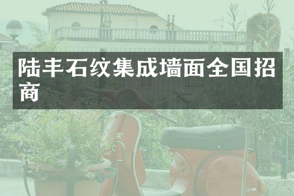 陆丰石纹集成墙面全国招商