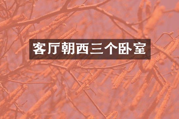 客厅朝西三个卧室