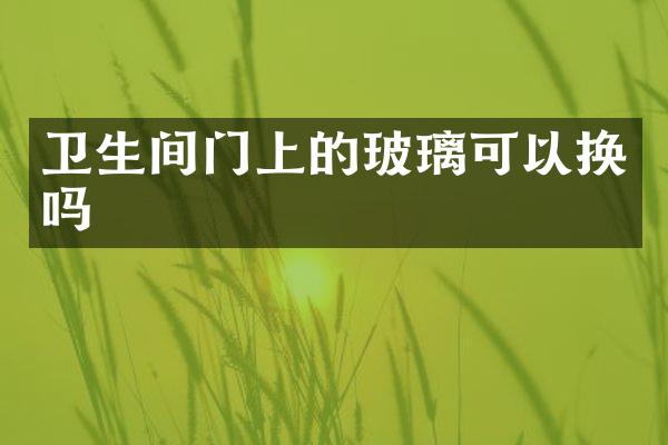 卫生间门上的玻璃可以换吗