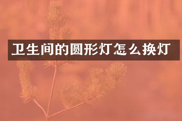 卫生间的圆形灯怎么换灯