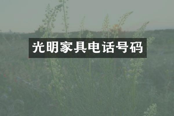 光明家具电话号码