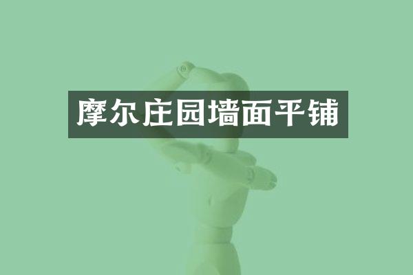 摩尔庄园墙面平铺