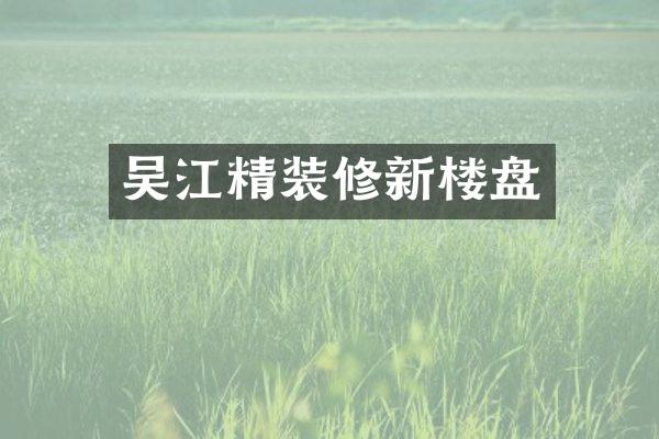 吴江精装修新楼盘