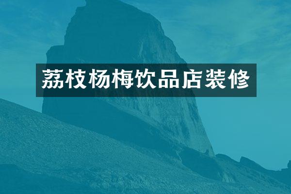 荔枝杨梅饮品店装修