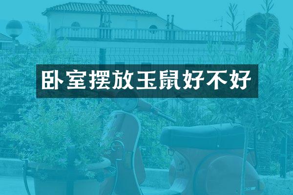 卧室摆放玉鼠好不好