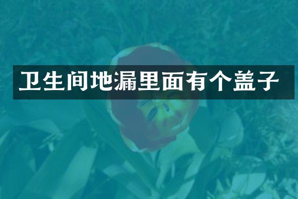 卫生间地漏里面有个盖子