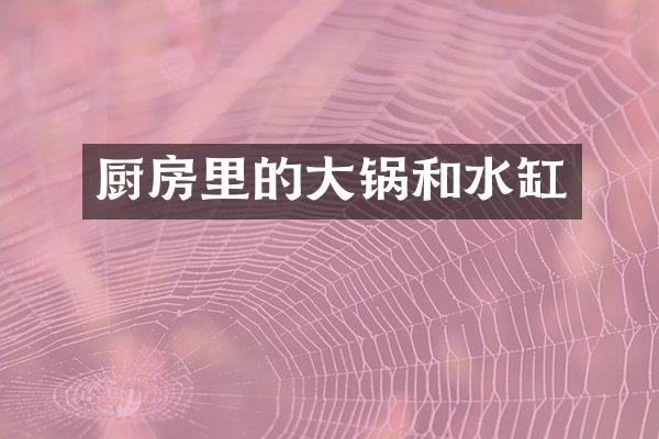 厨房里的大锅和水缸