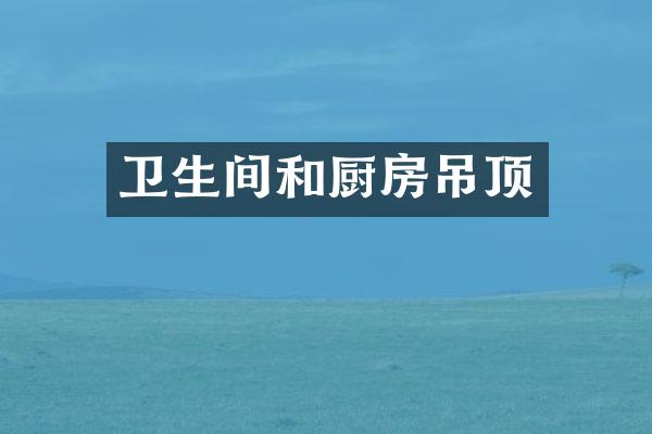 卫生间和厨房吊顶
