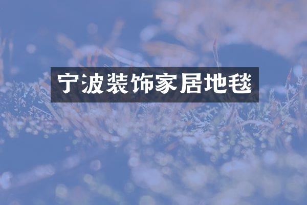 宁波装饰家居地毯