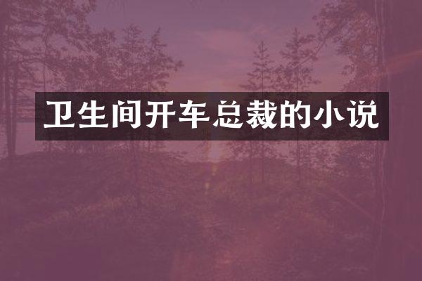 卫生间开车总裁的小说