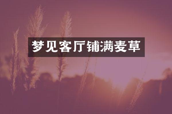 梦见客厅铺满麦草
