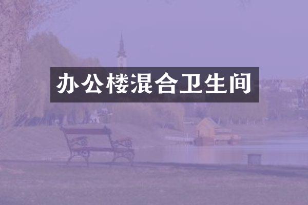 办公楼混合卫生间