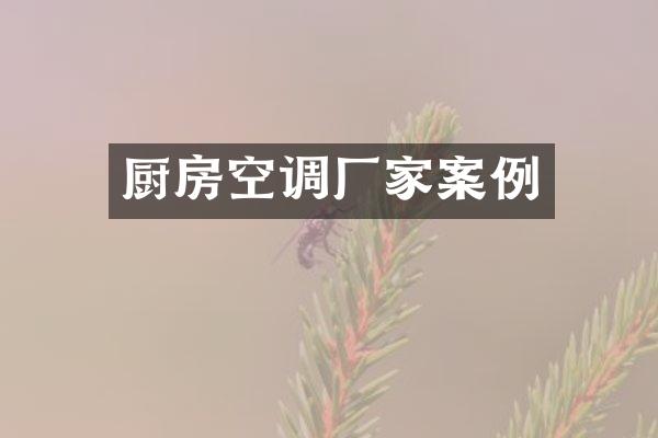 厨房空调厂家案例