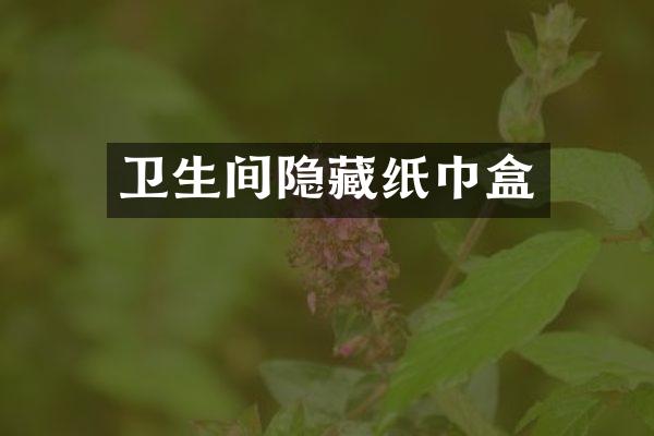 卫生间隐藏纸巾盒