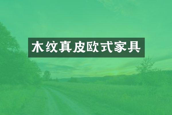 木纹真皮欧式家具