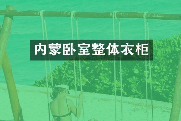 内蒙卧室整体衣柜