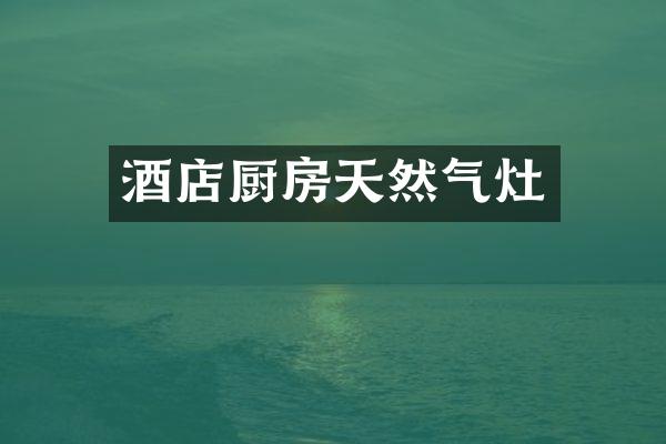 酒店厨房天然气灶